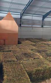 Bales of hay being dry.