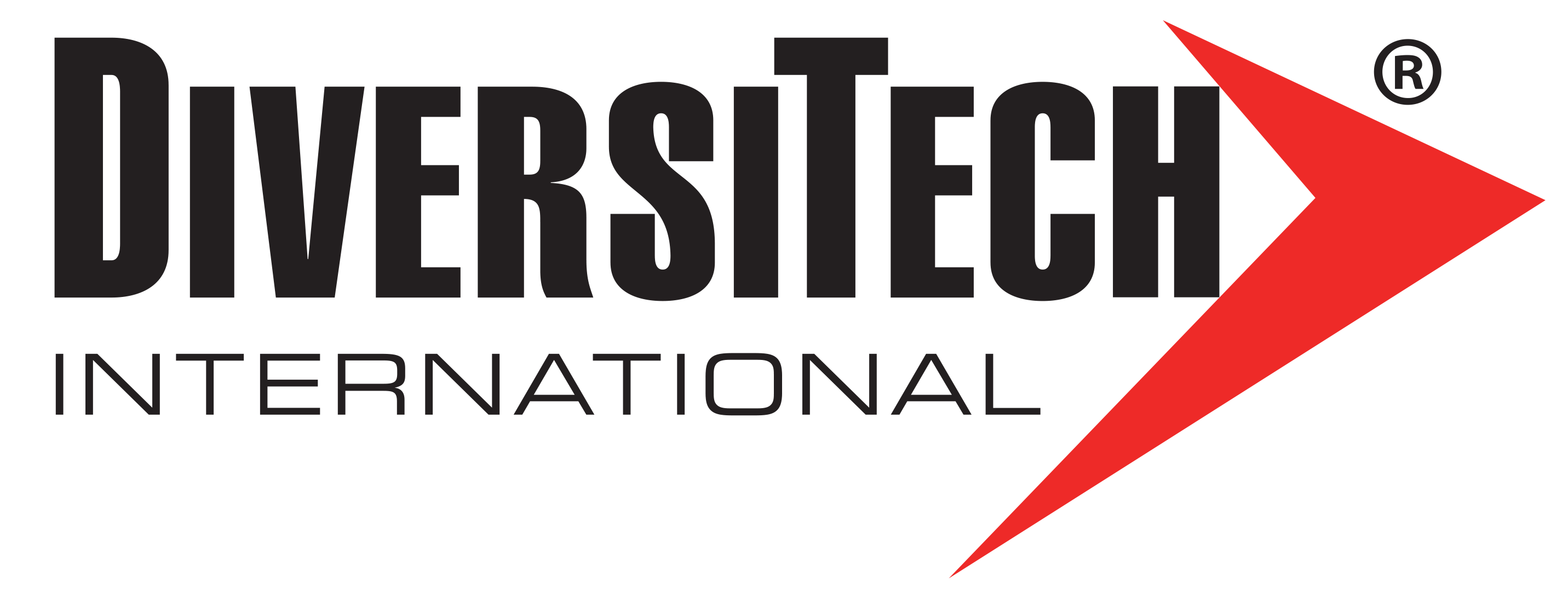 DiversiTech International