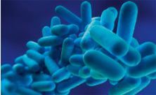 Recycling company fined over legionella risk