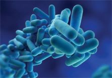 Second company served notice in Edinburgh legionella outbreak