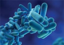 Hot tub is likely source of Stoke legionnaires